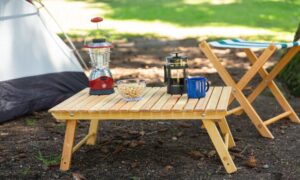 Portable Camping Stool