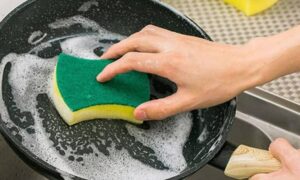 Scrub Sponges for Cleaning Kitchen