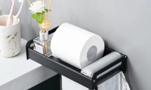 Wall-Mount Multifuctional Toilet Tissue Holder